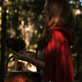 Red Riding Hood (2010)